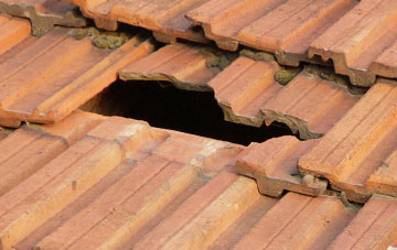 roof repair Brynore, Shropshire