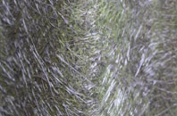 Brynore fibreglass roof work